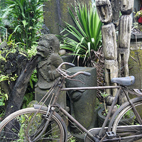 Photo de Bali - Balade, Garuda et spectacle